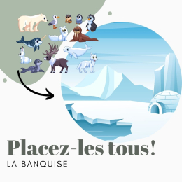 PLACEZ-LES TOUS ! | LES ANIMAUX